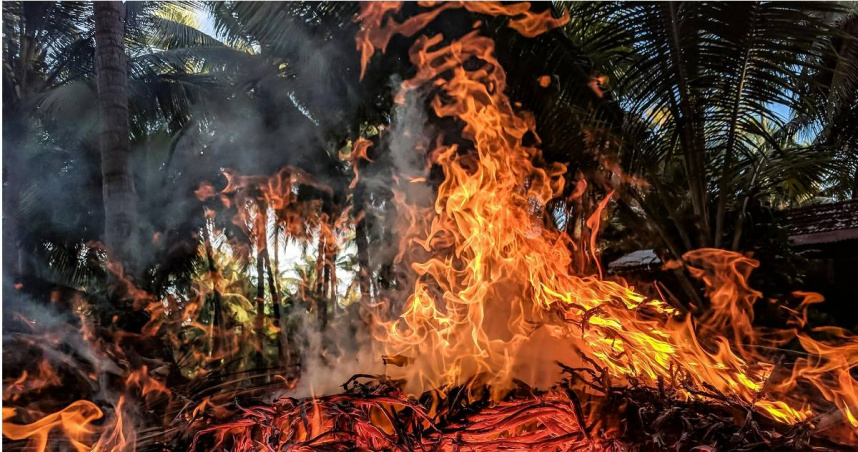 （示意圖／翻攝自pexels）