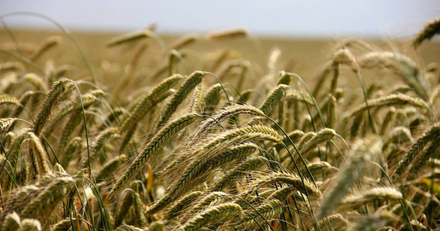 （示意圖／pixabay）