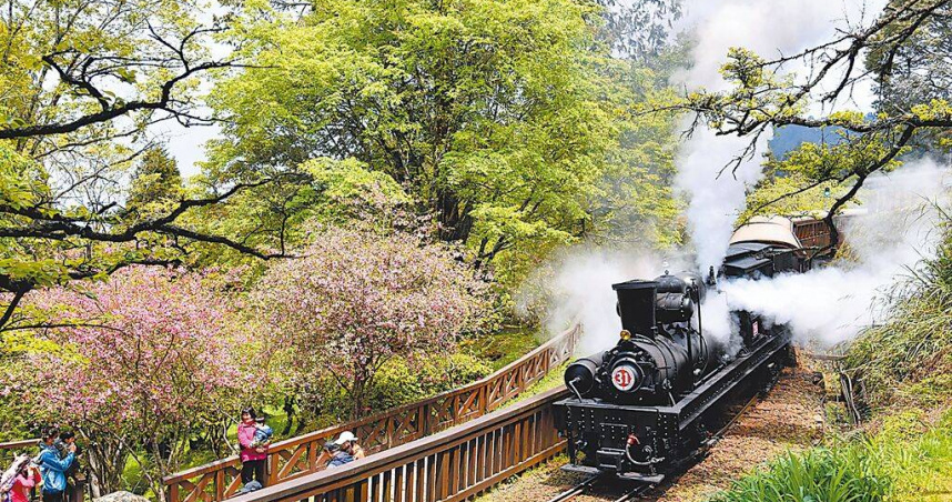 觀光署明年將再推出國旅補助，平日住宿最高可獲2000元。圖為阿里山林業鐵路《31號蒸汽火車》限定遊程。（圖／翻攝畫面）
