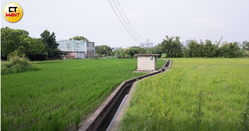 「公地放領」政策讓不少佃農有機會持有長期耕作的國有土地，但細究申請過程卻亂象橫生。圖為示意圖，非當事土地。（示意圖／CTWANT攝影組）