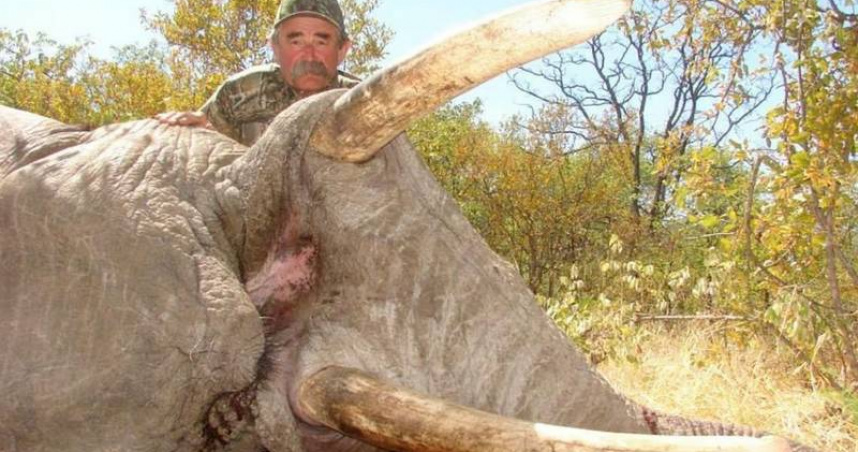 美國富豪獵人厄尼多西奧從事狩獵活動，最終於非洲遭象群攻擊身亡。（圖／翻攝自X，@75secondes）