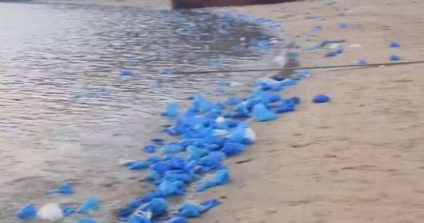 隨著大量人潮湧入平潭觀賞「藍眼淚」，當地海岸線出現大量被丟棄的一次性藍色塑膠鞋套。（圖／翻攝自極目新聞）