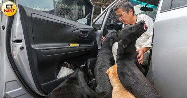 無家可歸1/流浪動物之家新居無著落 600浪浪恐重回街頭