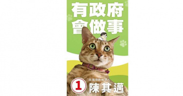 貓奴必看!愛貓「小米」人氣高 競選看板陳其邁淪配角