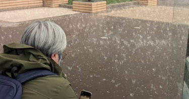 海拔超過2000公尺的福壽山農場6日傍晚突降冰雹，遊客興奮拍下自然奇景。（圖／福壽山農場提供）