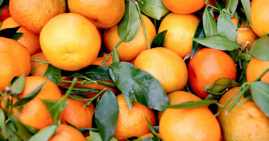 若想在除夕開運，可以烤橘子皮達到「換氣」效果。（示意圖／翻攝自unsplash）