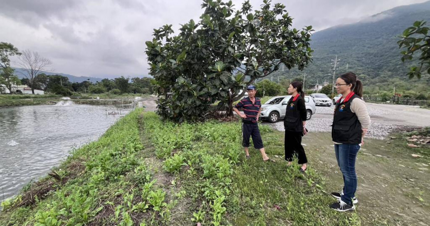 花蓮縣1家鱸魚養殖戶原訂7日出口到美國的2萬斤鱸魚，因32％關稅被通知暫緩出貨，所幸美方9日突宣布暫停對等關稅90天，期間只徵收10％關稅，訂單又恢復正常，讓他鬆一口氣。（花蓮縣政府提供／羅亦晽花蓮傳真）