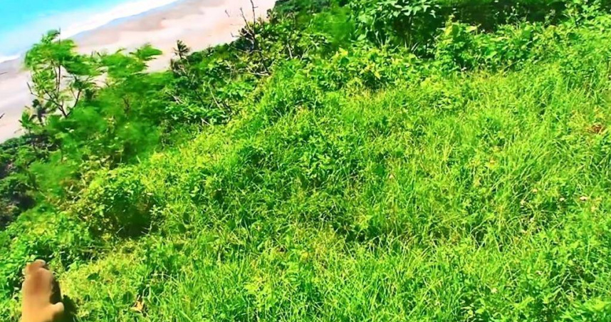 台灣獼猴攀上金樽即時影像設備，伸手強壓鏡頭後逃跑。（圖／東管處提供）