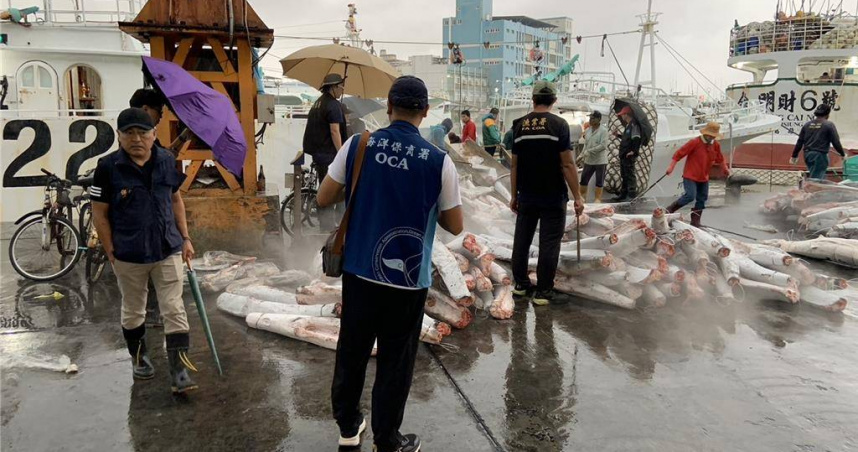 屏東地檢署公布「漁勝發」漁船涉嫌獵捕保育類海豚作釣餌案，畫面為查緝當下紀錄畫面。（圖／屏東地檢署提供）