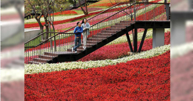 【玩家帶路】花樣北投