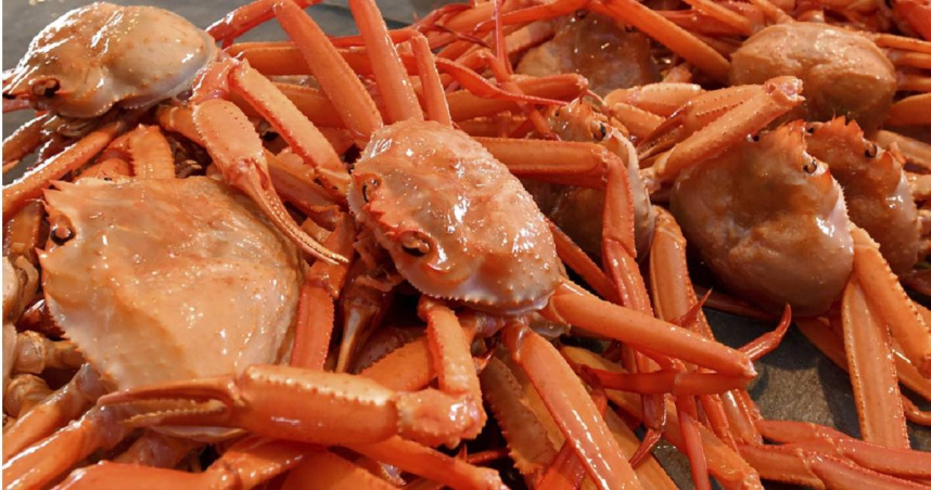 日本小學營養午餐吃紅松葉蟹。（示意圖／達志／美聯社）