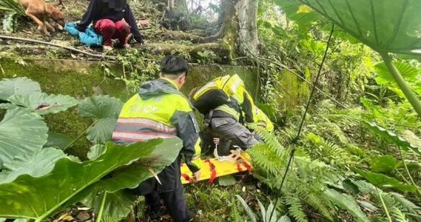 花蓮婦種山蘇跌落1.5公尺動彈不得，警消火速救援驚險送醫。(圖∕翻攝畫面)