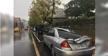 台南路樹倒壓死女騎士 黃偉哲下令樹木健檢