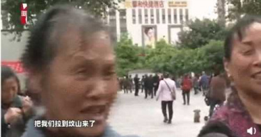 旅行社「18元一日遊」還包午餐!團員抵達後狂罵:掛羊頭賣狗肉