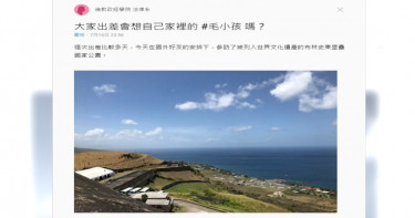平常都貓跟我睡 蔡英文Dcard發文思念家中毛小孩