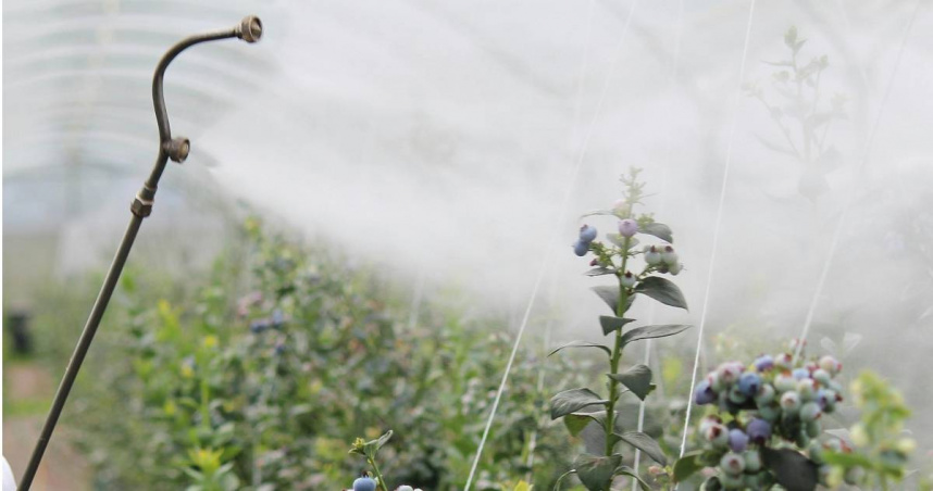 （示意圖／翻攝自pexels）