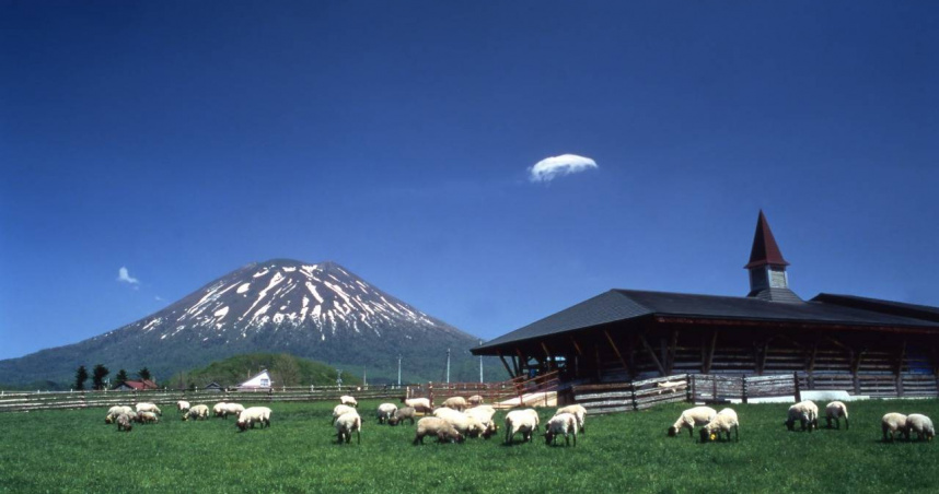 日本北海道羊蹄山。（圖／翻攝自北海道官方旅遊網站）