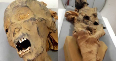 3000年前木乃伊「面容掙扎」死狀悽慘 研究139年謎團終於破解