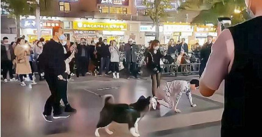男當街狗爬式哭訴女友遭撕票「胸口中3刀」慘死 警介入調查結果大逆轉