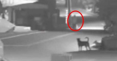 驚悚畫面曝光!台南男突路倒 連遭兩車輾壓爆頭身亡