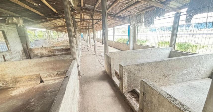 屏東豬舍開價538萬被秒殺！ 專家揭「1關鍵」：超便宜。（封面圖／翻攝臉書社團「高雄屏東591房屋買賣」）