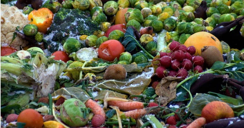 食品安全專家警告，不要依賴嗅聞的方式來檢查食品是否可以安全食用。（示意圖／PIXABAY）