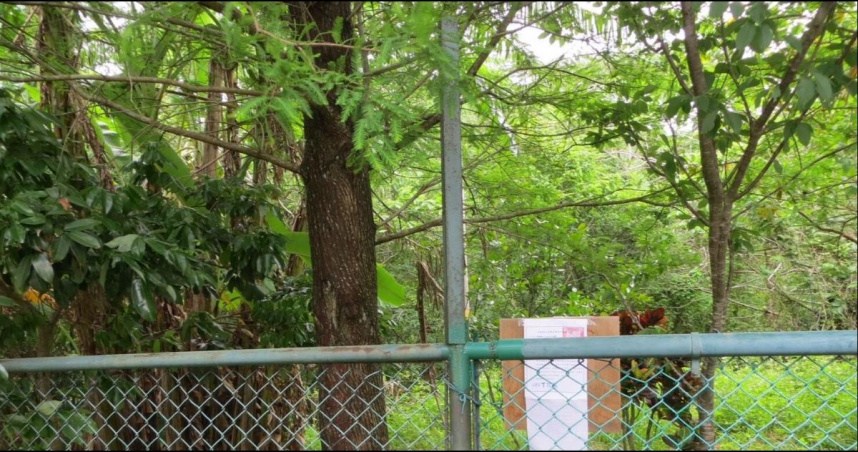 （封面圖／新竹市稅務局）