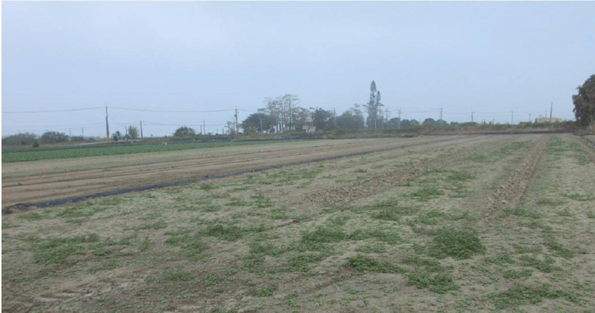 陳男違法捕撈魚遭罰鍰未繳納，名下農地遭查封。（圖／執行署嘉義分署提供）