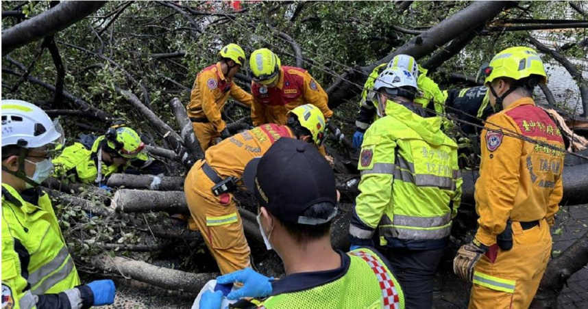 台中逢甲大學材料系碩一生、23歲吳姓男學生昨（13日）下午遭校內的倒塌榕樹砸中，當場失去生命跡象，緊急送醫仍宣告不治。（圖／台中市消防局提供）