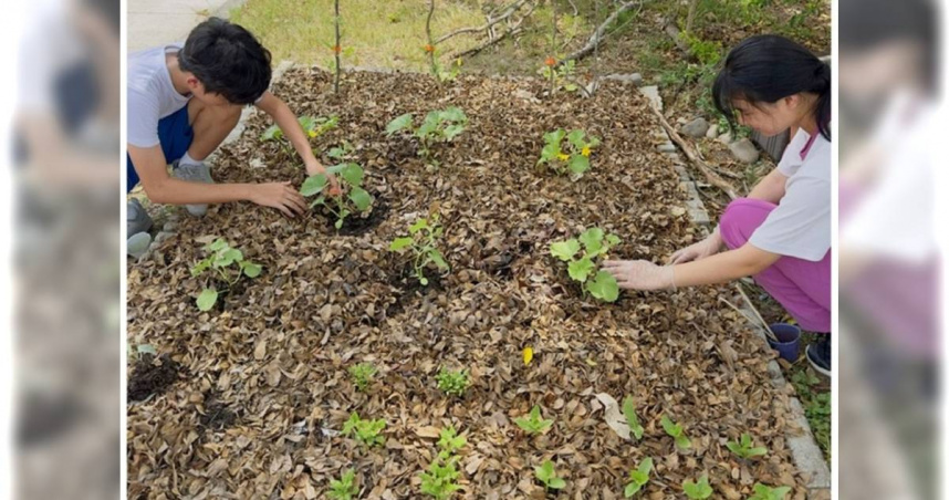 學生於校園內進行廚餘堆肥再利用與食農教育實作。（圖／國教署提供）
