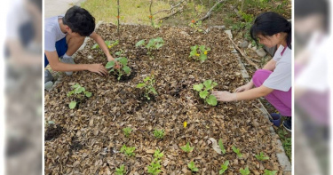 學生於校園內進行廚餘堆肥再利用與食農教育實作。（圖／國教署提供）
