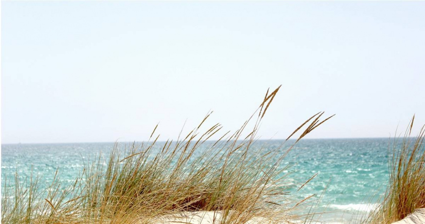 台東市海濱公園近日發生1起驚險的落海事件。（示意圖／翻攝自pexels）