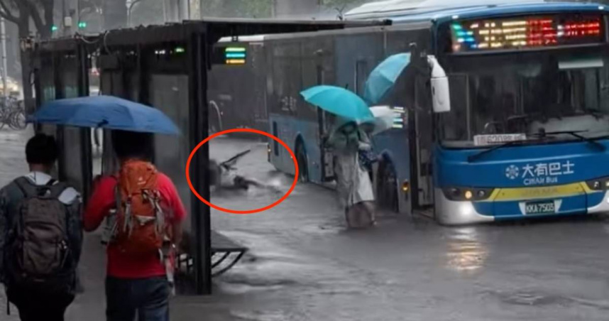 下大雨積水嚴重男學生下車直接摔倒，下一秒速速起身協助後面乘客，獲得眾人大讚。（圖／翻攝Threads／＠chingyu）