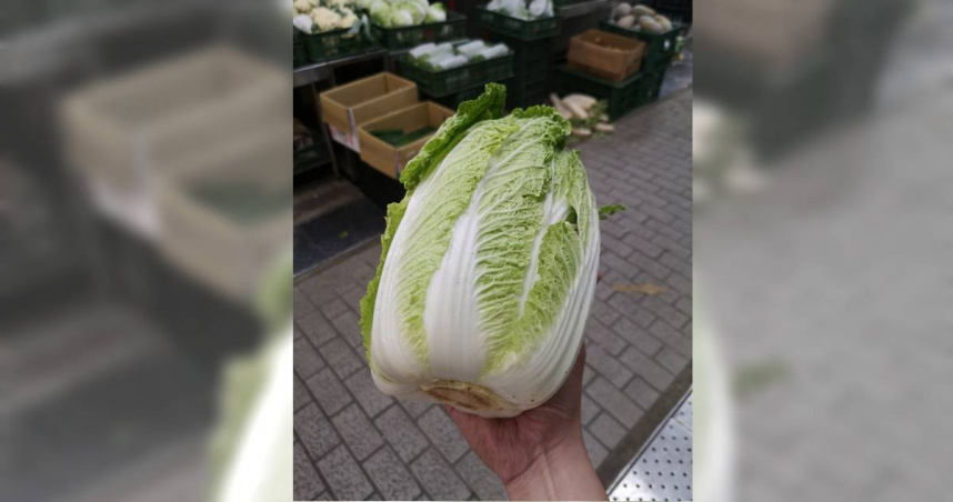 最近中國大陸的「甲醛白菜」食安風暴讓不少台灣人憂心。（圖／翻攝自Facebook／廖炯程）
