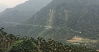世界級生態景觀!秋季限定「萬鷺朝鳳」遷徙秀