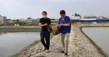 動保團體獲報在高雄路竹一處魚塭附近，有一隻疑似遭人剁斷右腳的流浪狗生命垂危，趕緊將浪浪搶救送醫。（圖／台灣動物緊急救援小組提供）