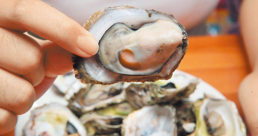 市售牡蠣。（示意圖／報系資料照）