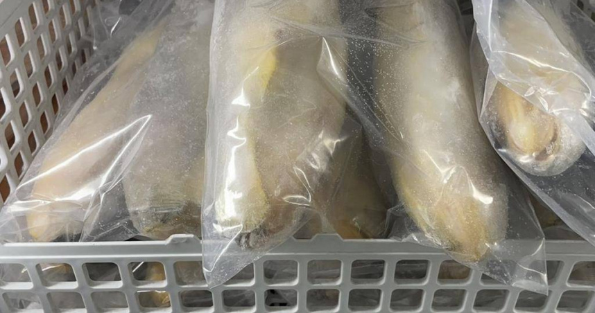 一批中國進口的小黃魚，被驗出水產品禁用的「恩氟奎林羧酸」。進口業者「阿銓冷凍水產商行」遭開罰24萬元。（圖／食藥署提供）