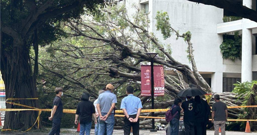 台中逢甲大學13日發生老榕樹倒塌壓死學生意外，家屬重返現場招魂，場面哀戚。（圖／中國時報馮惠宜攝）
