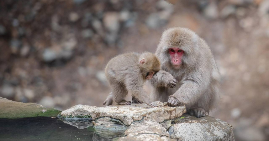 （示意圖／pixabay）