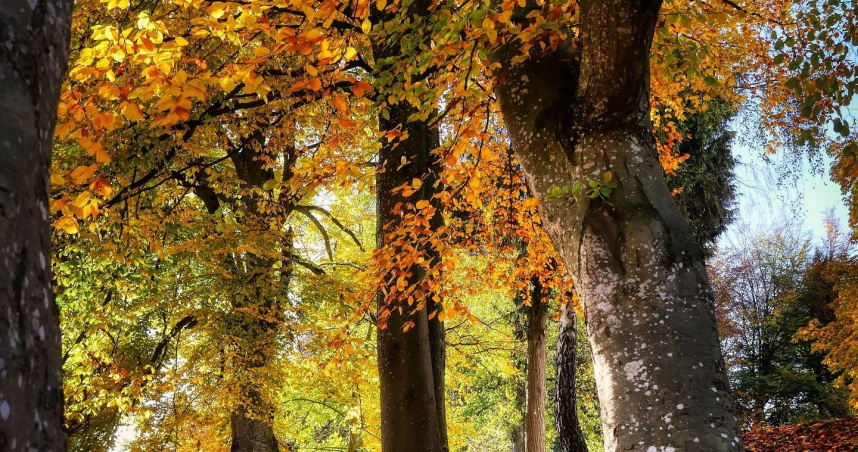 （示意圖／pixabay）