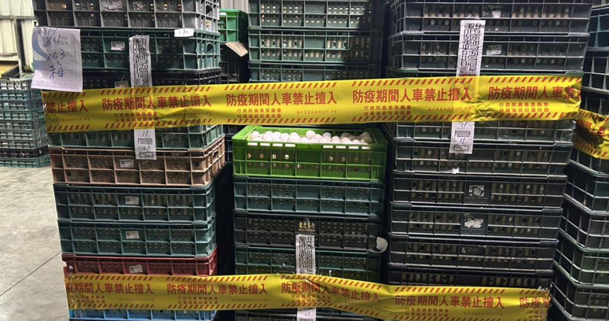 文雅畜牧場雞蛋驗出芬普尼代謝物超標，彰檢今天再次指揮調查局約詢畜牧場相關人員。（圖／翻攝畫面）