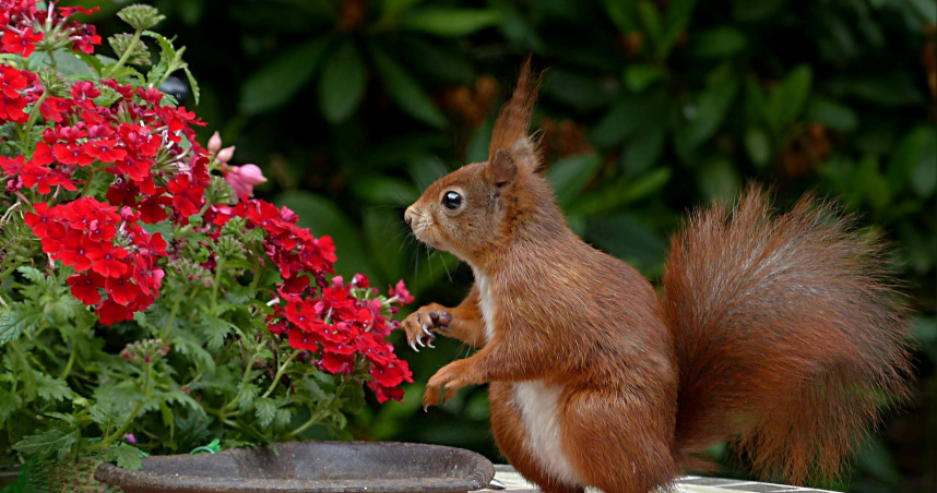 （示意圖／Pexels）