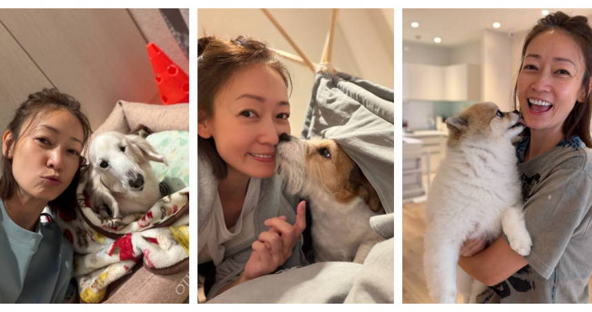 潘慧如斥資千萬打造的「3天2夜寵物旅館」正式歇業，她坦言因健康因素與長年虧損忍痛結束經營，下一步將移居屏東恆春。（圖／翻攝自臉書，潘慧如）