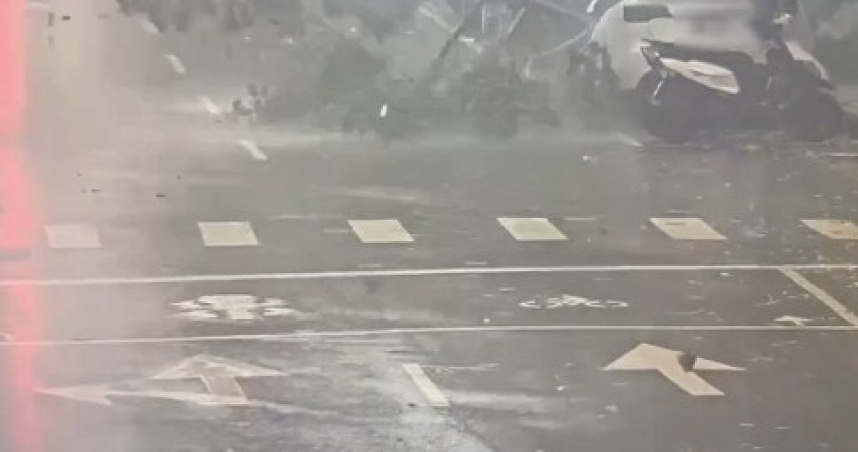 中颱薔琵襲台！北市文山區路樹倒塌多車遭壓　現場慘狀曝光