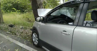 嘉義男駕休旅車自撞路樹 車上老母當場死亡
