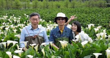 柯文哲著青蛙裝採海芋 甜曝「以前就跟佩琪來過」