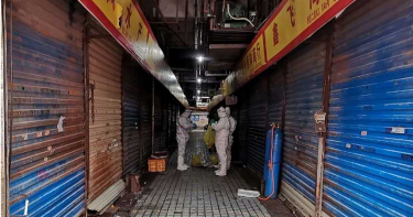 武漢肺炎/專家:肯定人傳人!增至218病例 可能來自野生動物