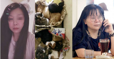 浪浪勒索1/女董捐百萬後喊停 恐怖愛媽秒翻臉啟動網路霸凌