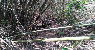 男挑戰「旗靈縱走」脫隊失蹤 陳屍邊坡竹林不幸身亡